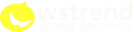 顽石趋势 AI Logo